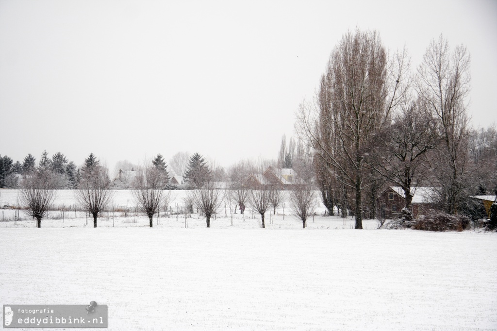 2010-12-17 Sneeuw, Deventer 007